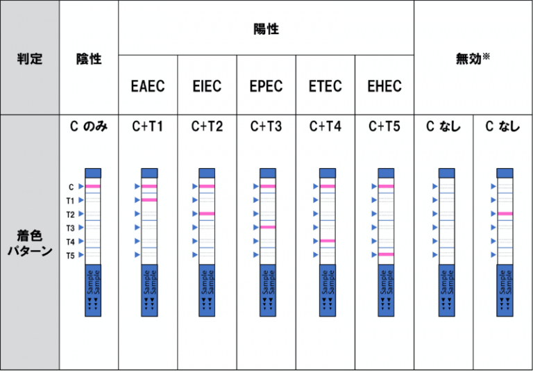 判定例（下痢原性大腸菌検出キット）