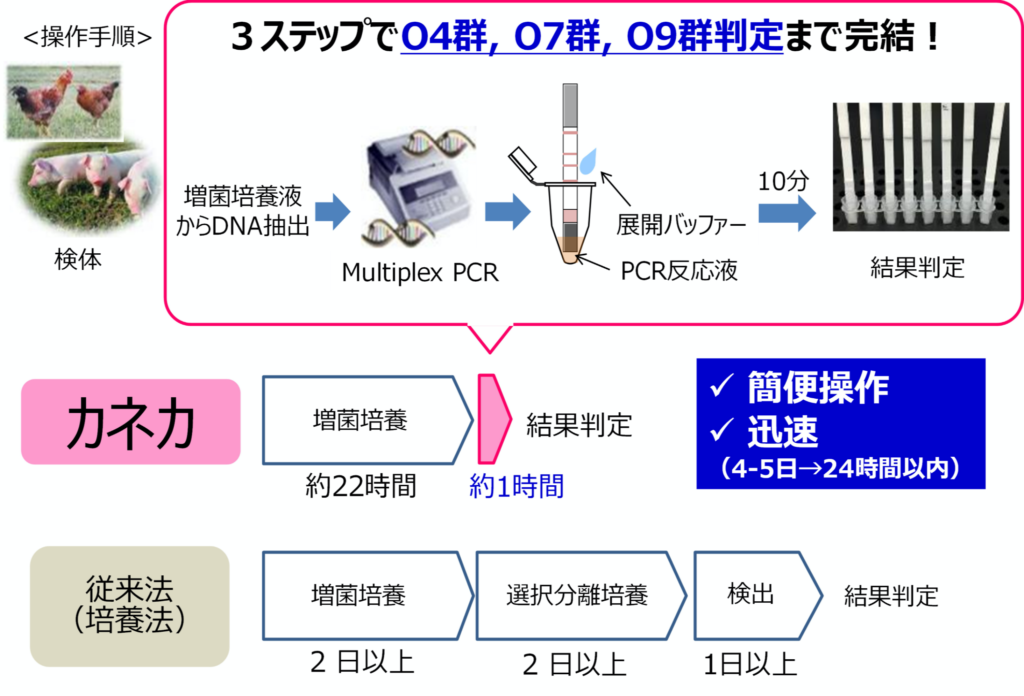 サルモネラ検出キット（比較図）