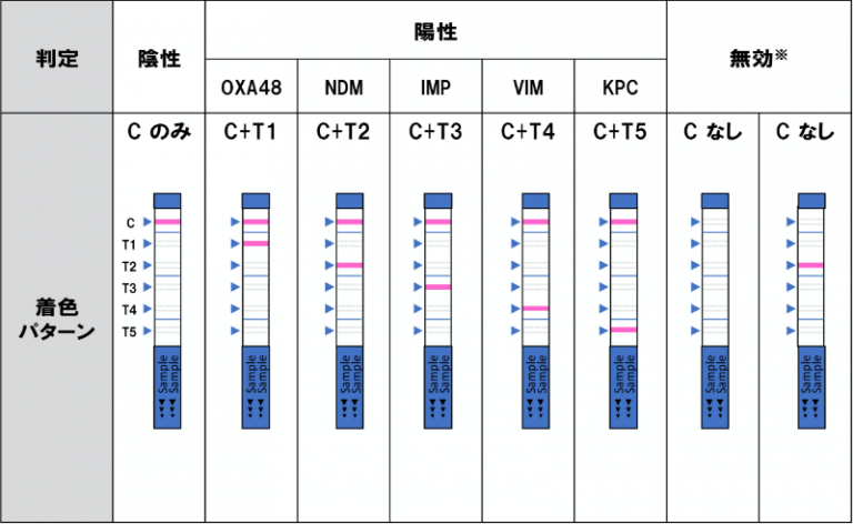 判定例（カルバペネマーゼ遺伝子検出キット）