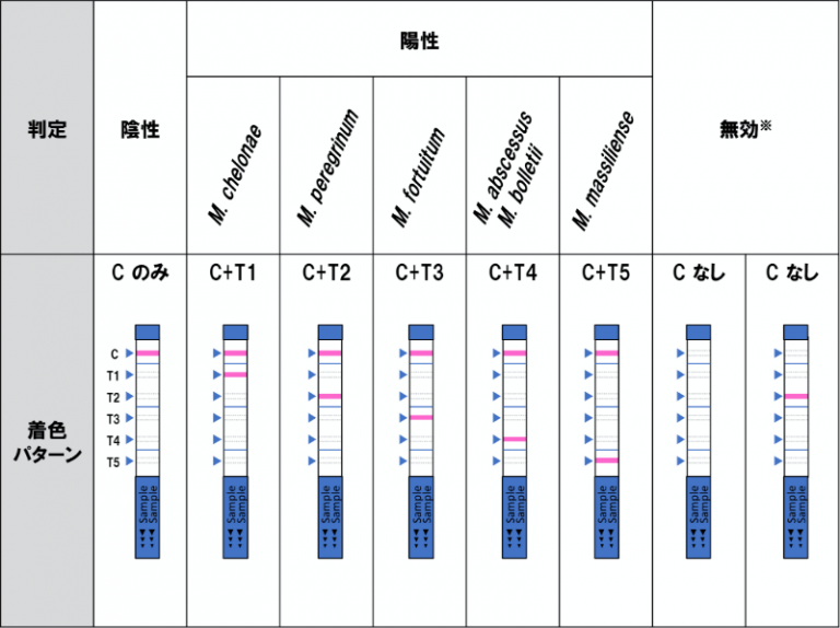 判定例（迅速発育抗酸菌同定キット）