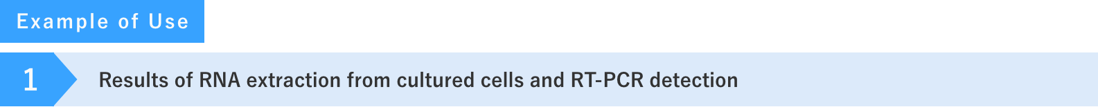 培養細胞からのRNA抽出及びRT-PCRによる検出結果
