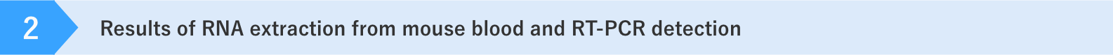 マウス血液からのRNA抽出及びRT-PCRによる検出結果