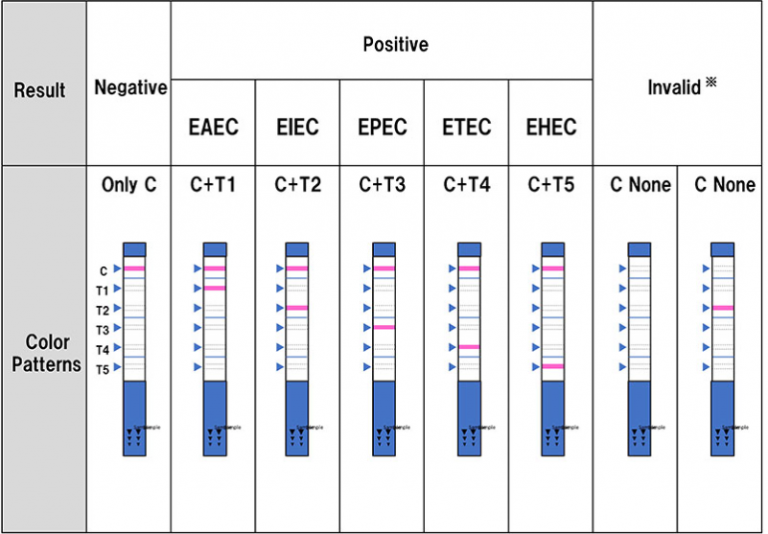 判定例（下痢原性大腸菌検出キット）