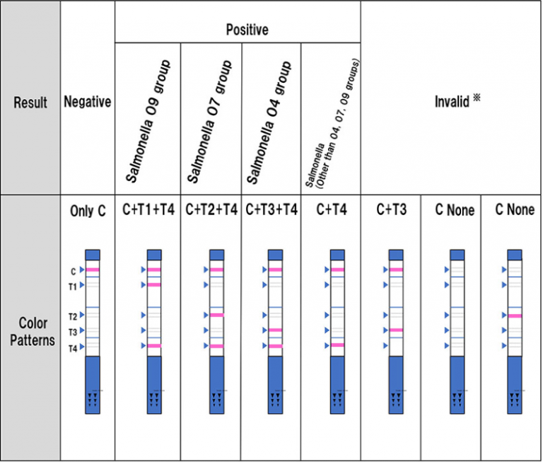 判定例（サルモネラ検出キット）