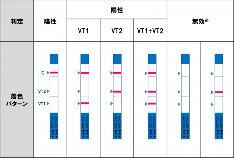 判定例（ベロ毒素遺伝子検出キット）