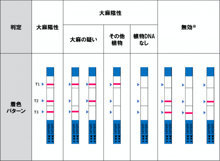 判定例（大麻草DNA検出キット）