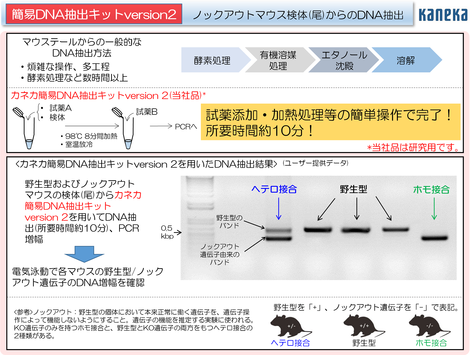 PDF①「ノックアウトマウス」